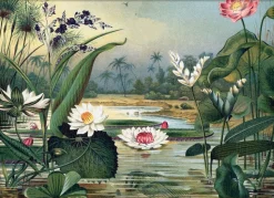 Water Plants. Horizontal #2924H